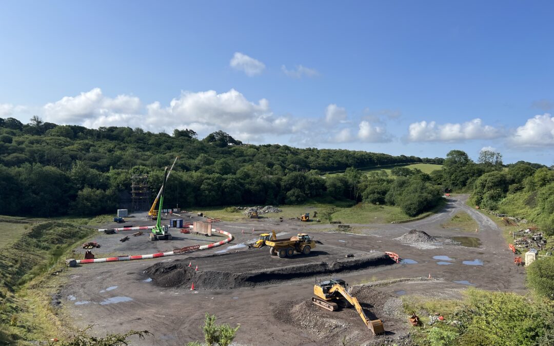 Plant training in South Wales